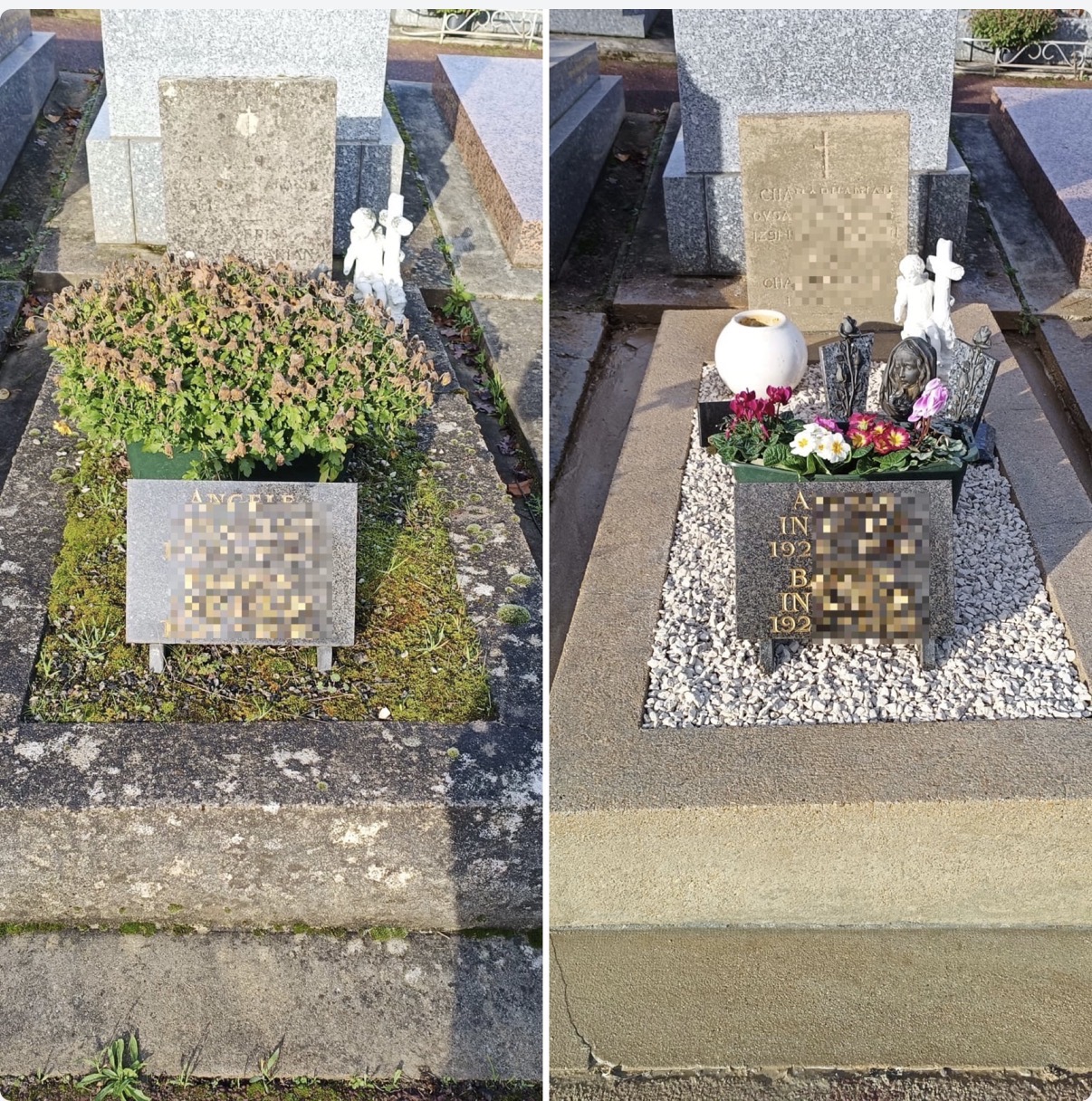 Grave bed replanted with fresh flowers